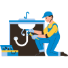 Professional Plumbers Logo